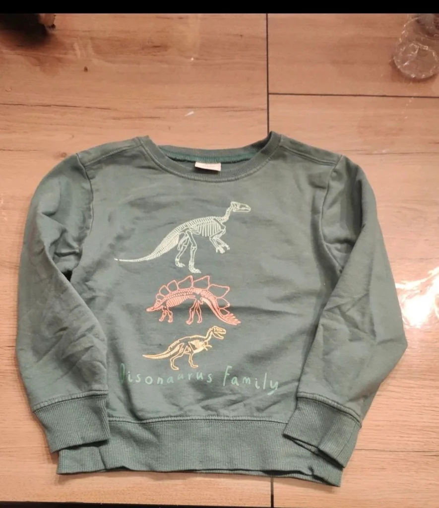 Pull dinosaure 5 ans